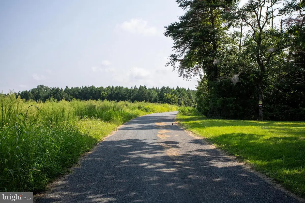 Tbd Trents Cemetery Road #lot 3, Phenix, VA 23959 - #1