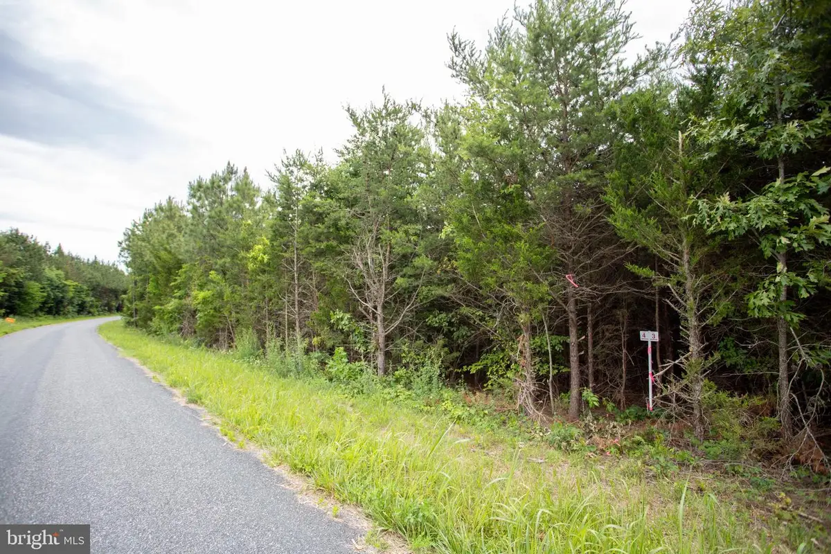 Tbd Trents Cemetery Road #lot 6, Phenix, VA 23959 - #1