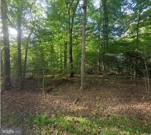 2210 S Providence Rd, Rockwood, VA 23236 - #1