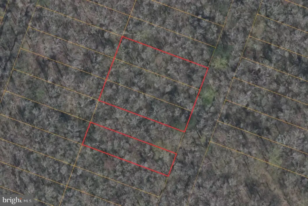 1418 Trinkle St, Chesapeake, VA 23322 - #1