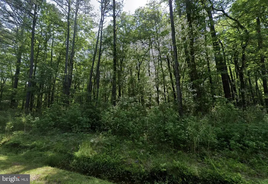 1955 Darden St, Chesapeake, VA 23322 - #2