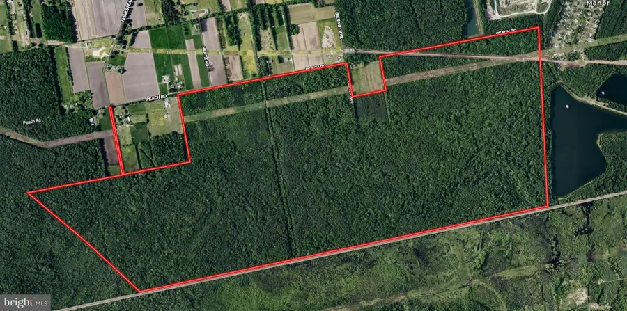 663.8 Acres Peach Rd, Chesapeake, VA 23321 - #2