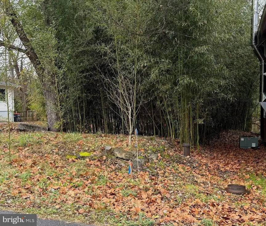 Millwood Rd, Boyce, VA 22620 - Image #3