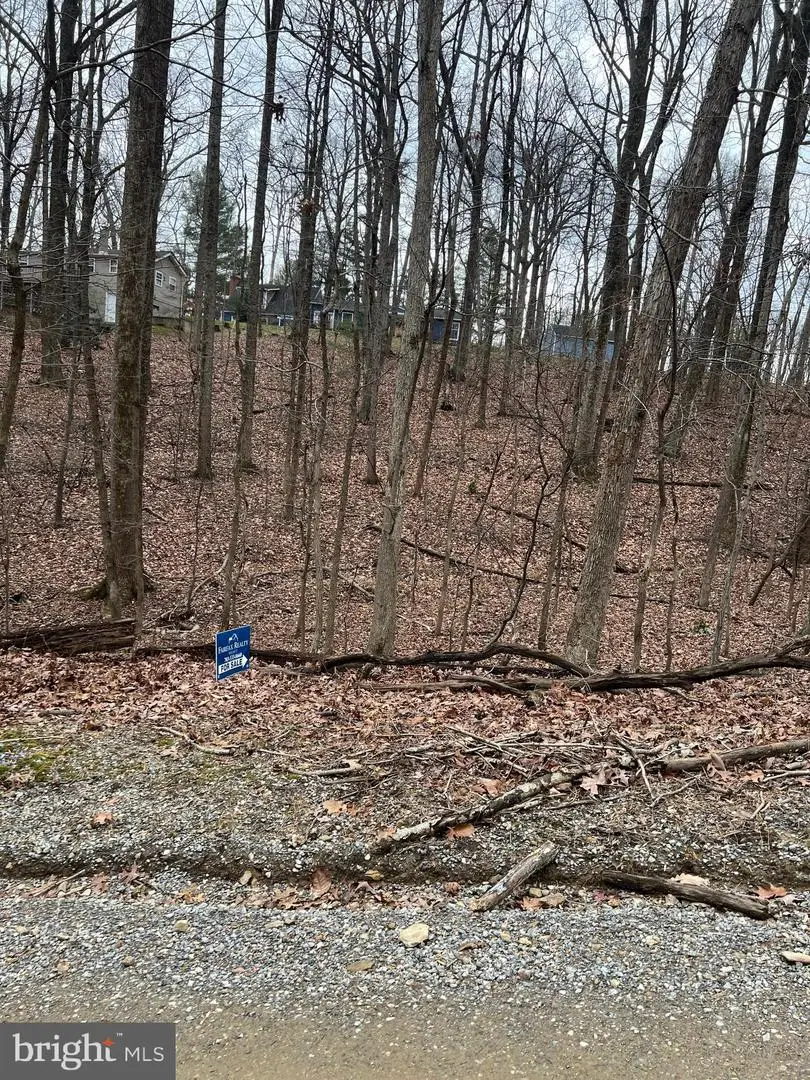 Laurel Ln, Bluemont, VA 20135 - Image #1