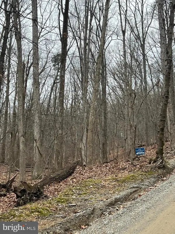 Beechwood Ln, BLUEMONT, VA 20135