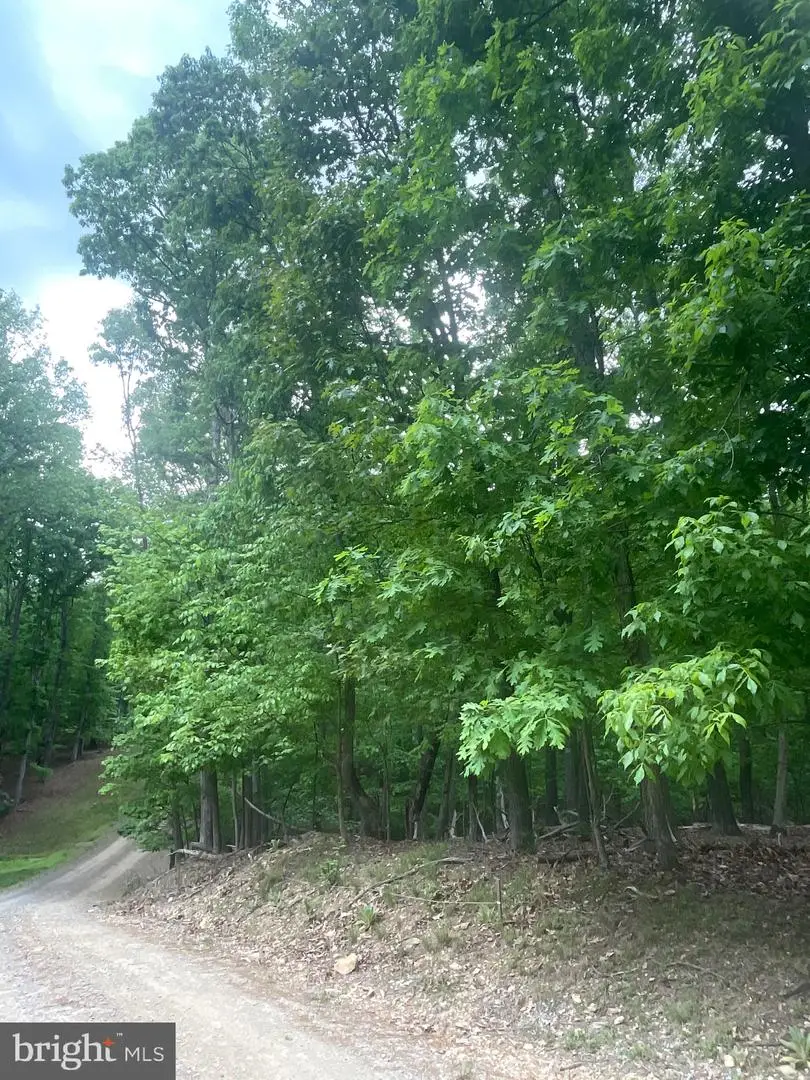 Lot 24 Maple Lane, Bluemont, VA 20135 - Image #3