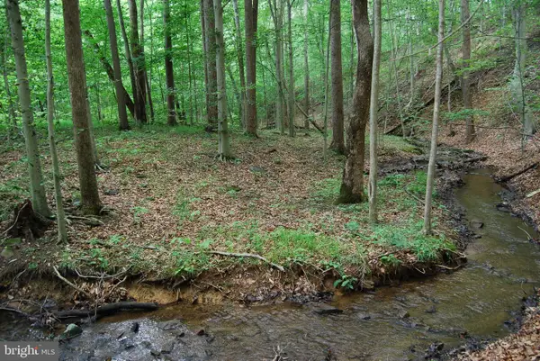 Mount Carmel Rd, BOYCE, VA 22620