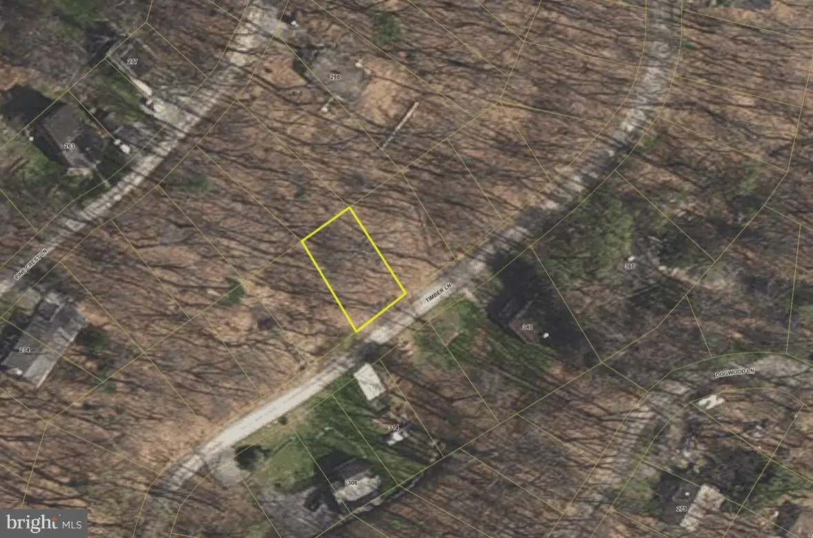 Timber Ln, Bluemont, VA 20135 - Image #1