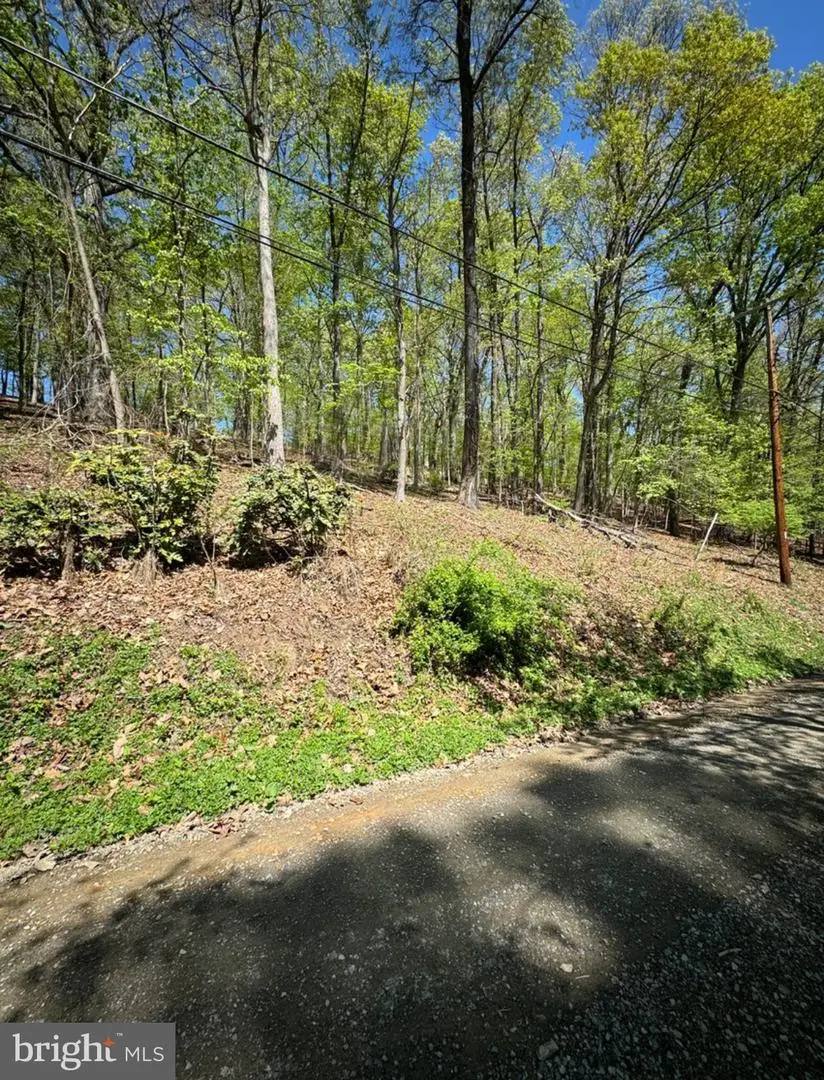 Timber Ln, Bluemont, VA 20135 - Image #2