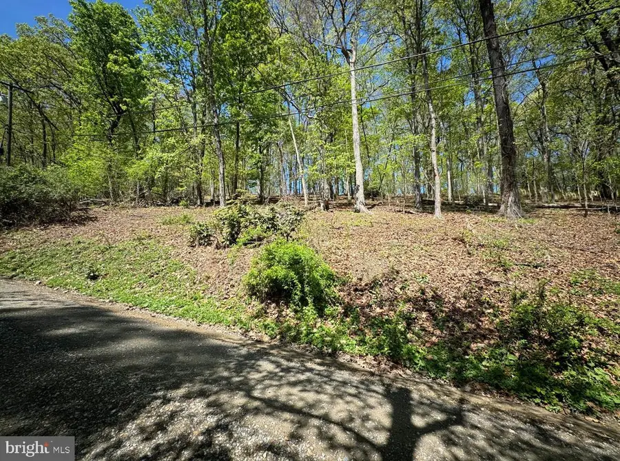 Timber Ln, Bluemont, VA 20135 - Image #3