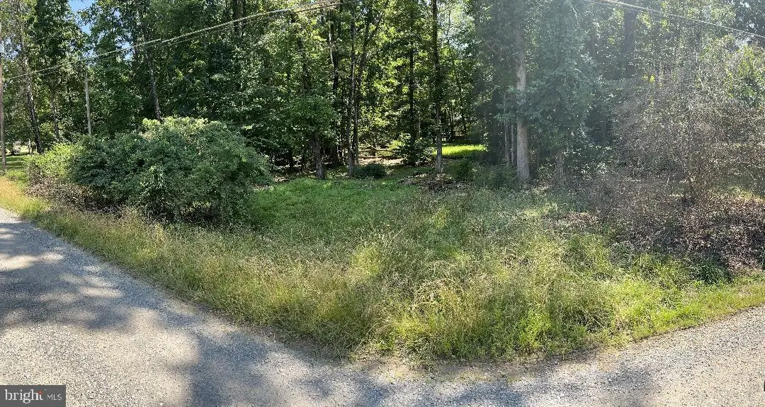 Lot 6 Hackberry Ln, Bluemont, VA 20135 - Image #1