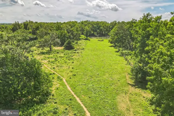 1683 Withers Larue Rd, BERRYVILLE, VA 22611