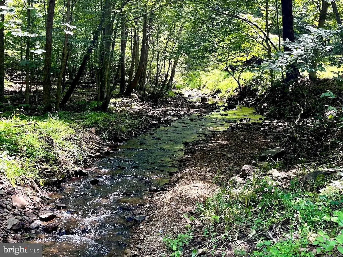 Pioneer Ln, Boyce, VA 22620 - Image #1