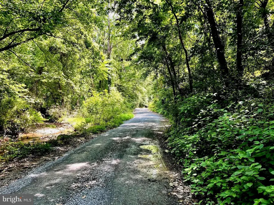 Pioneer Ln, Boyce, VA 22620 - Image #2