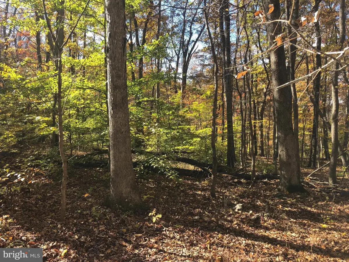 Cliff Lane, Bluemont, VA 20135 - Image #1