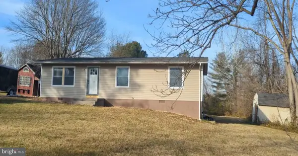 315 Shepherds Mill Rd, BERRYVILLE, VA 22611