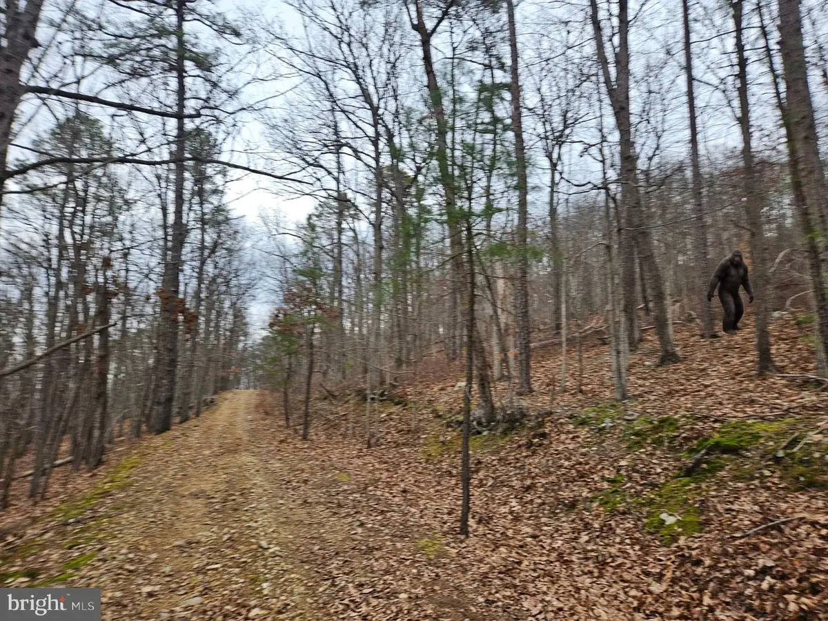 Chapman Ln, Boyce, VA 22620 - Image #1