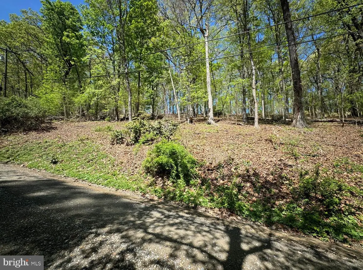Lot 121 Timber Ln, Bluemont, VA 20135 - #1