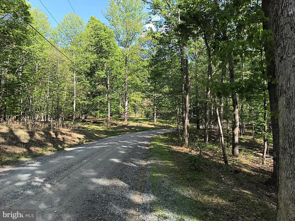 0 Beechwood Ln, Bluemont, VA 20135 - #1