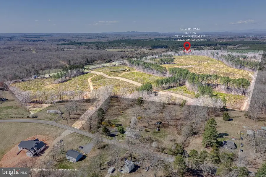 Yellowbottom Rd, Lignum, VA 22726 - Image #2