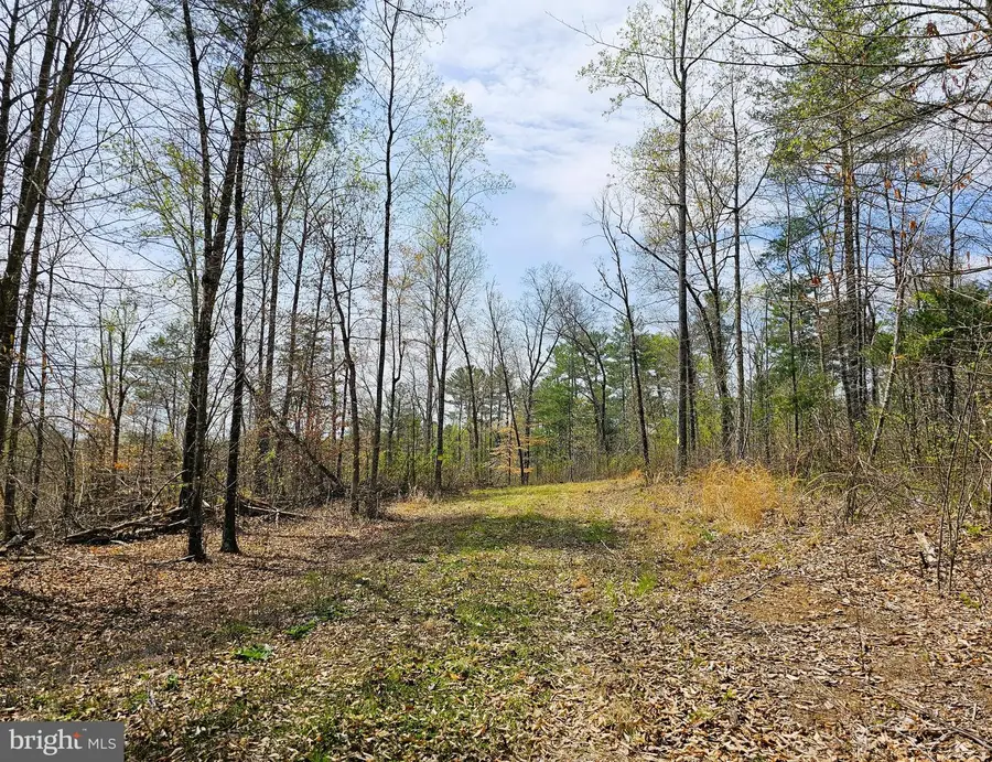 Amanda's Ridge Lane, Culpeper, VA 22701 - Image #3