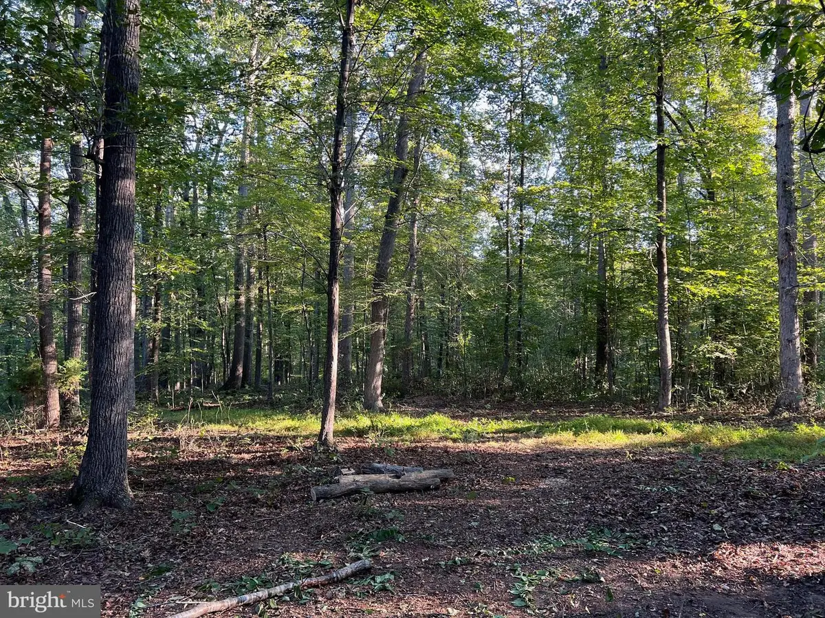 14285 Woods View Ln, Reva, VA 22735 - Image #1