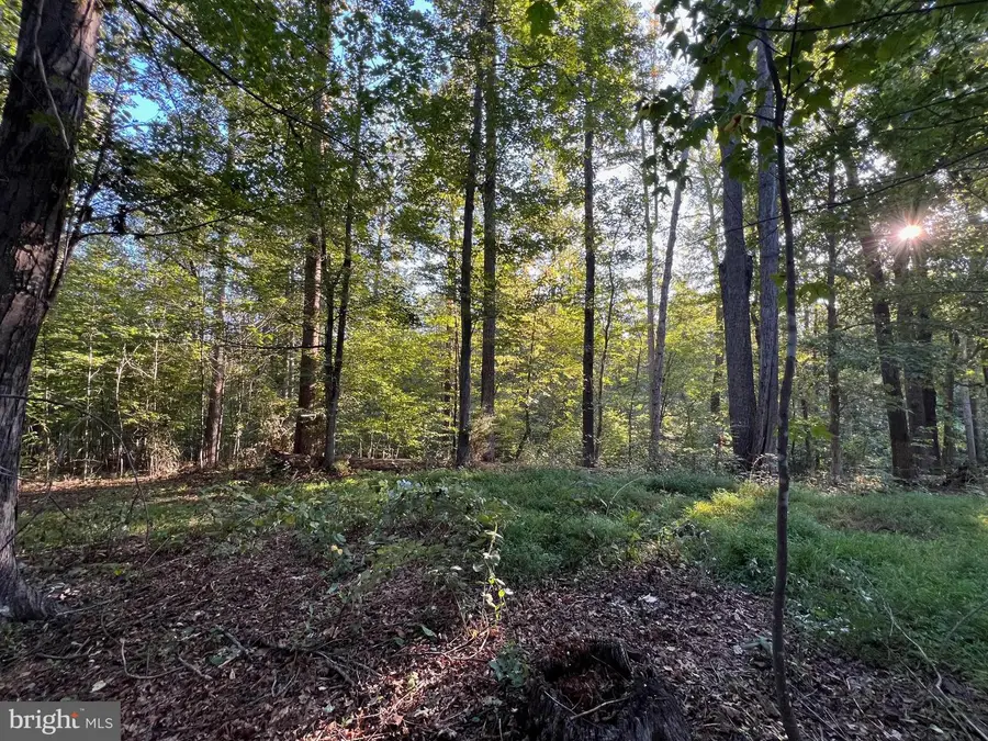 14285 Woods View Ln, Reva, VA 22735 - Image #2