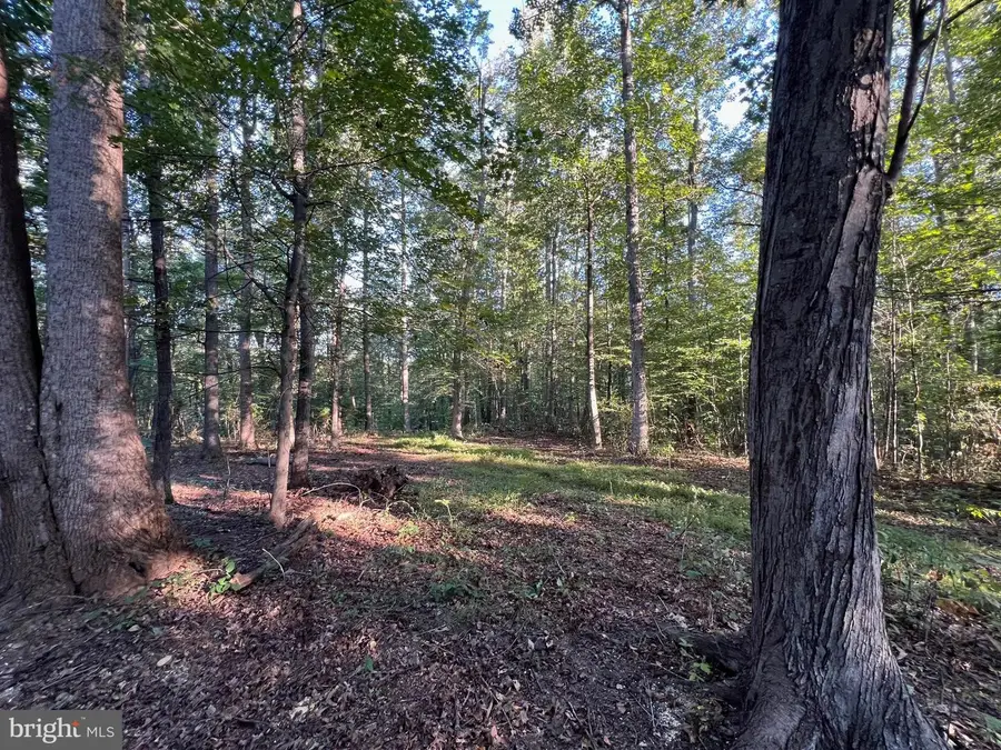 14285 Woods View Ln, Reva, VA 22735 - Image #3