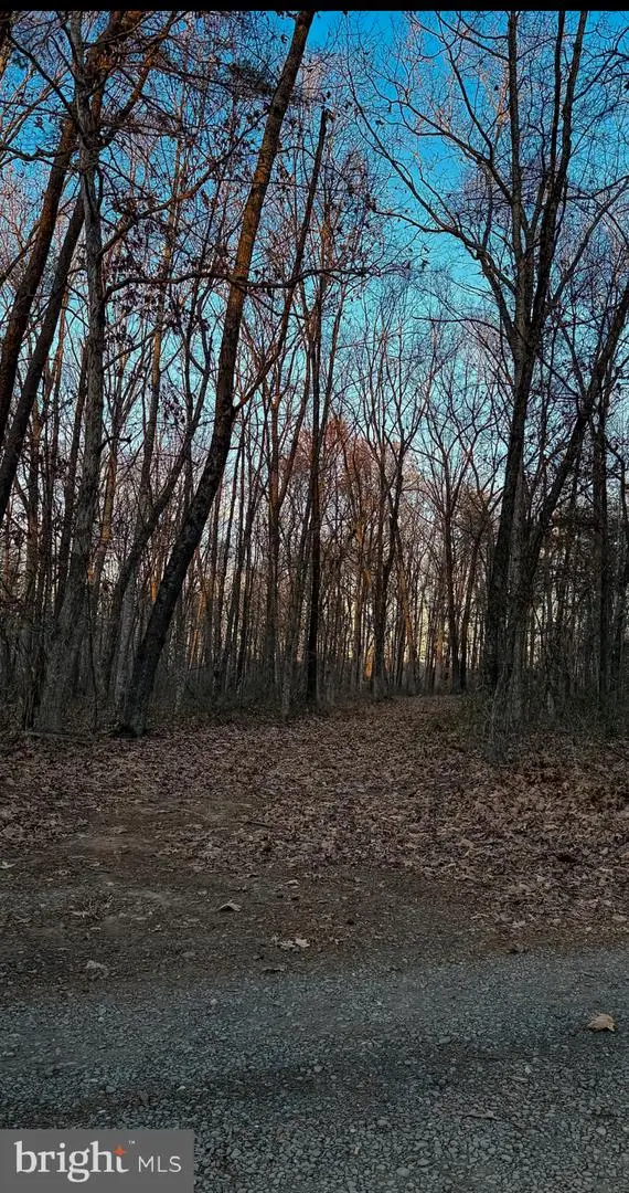 Roberts Lane Ln, Rixeyville, VA 22737 - Image #2