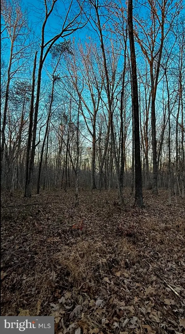 Roberts Lane Ln, Rixeyville, VA 22737 - Image #3