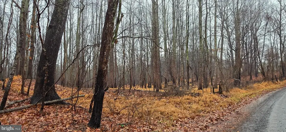 Lot B Obannons Mill Rd, Boston, VA 22713 - Image #1