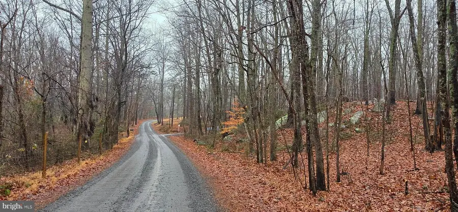 Lot B Obannons Mill Rd, Boston, VA 22713 - Image #3