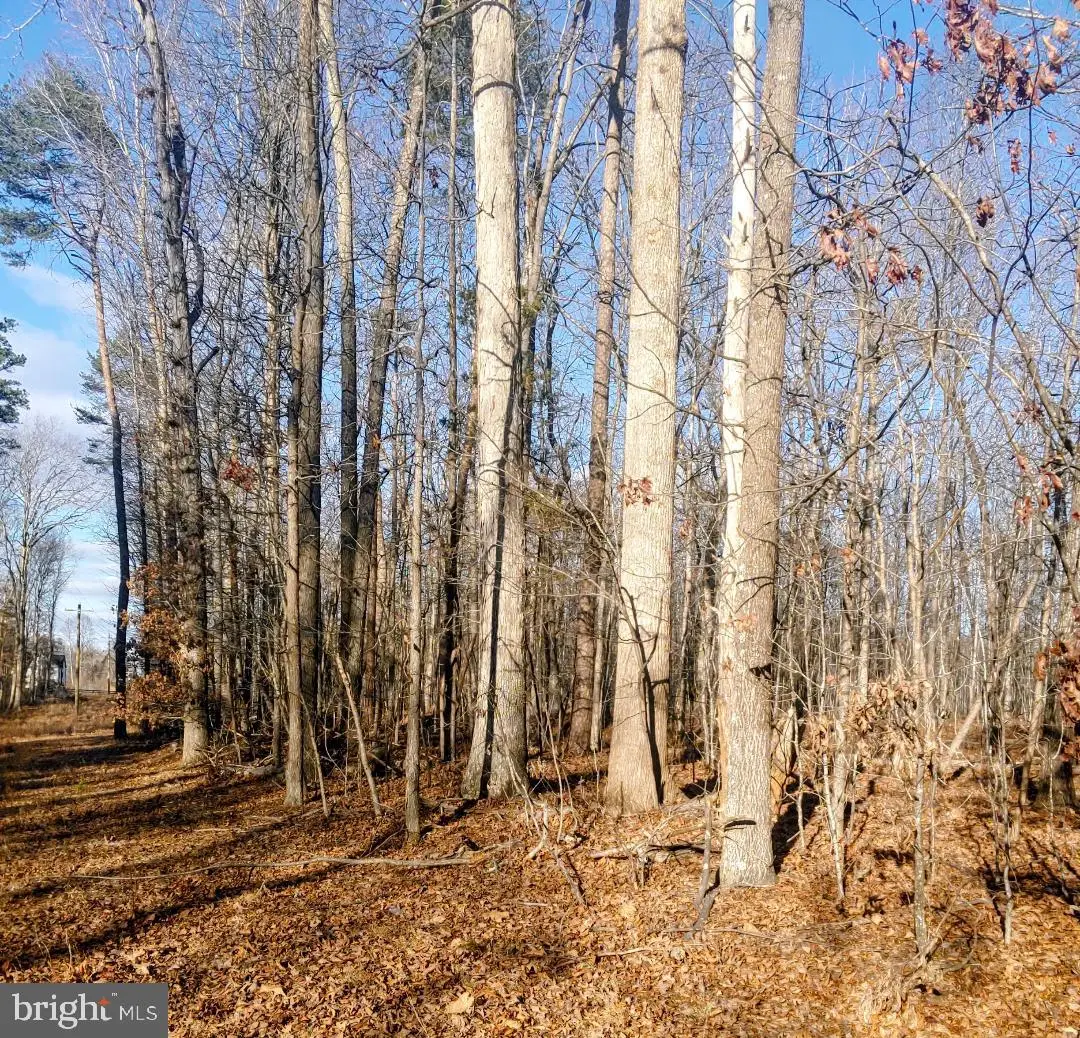 Rixeyville Rd. Rte. 229/ Lot 1 Next To Kimber Lane, Culpeper, VA 22701 - Image #1