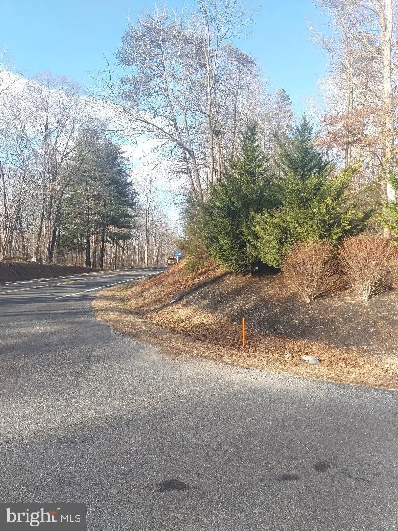 Rixeyville Rd. Rte. 229/ Lot 1 Next To Kimber Lane, Culpeper, VA 22701 - Image #3