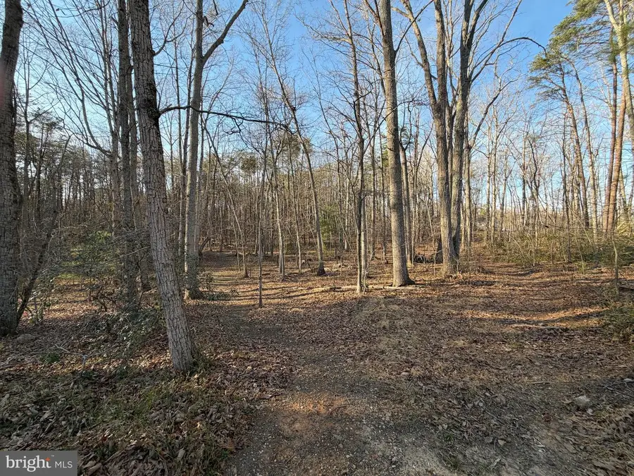 Woodland Church Rd, Culpeper, VA 22701 - #3