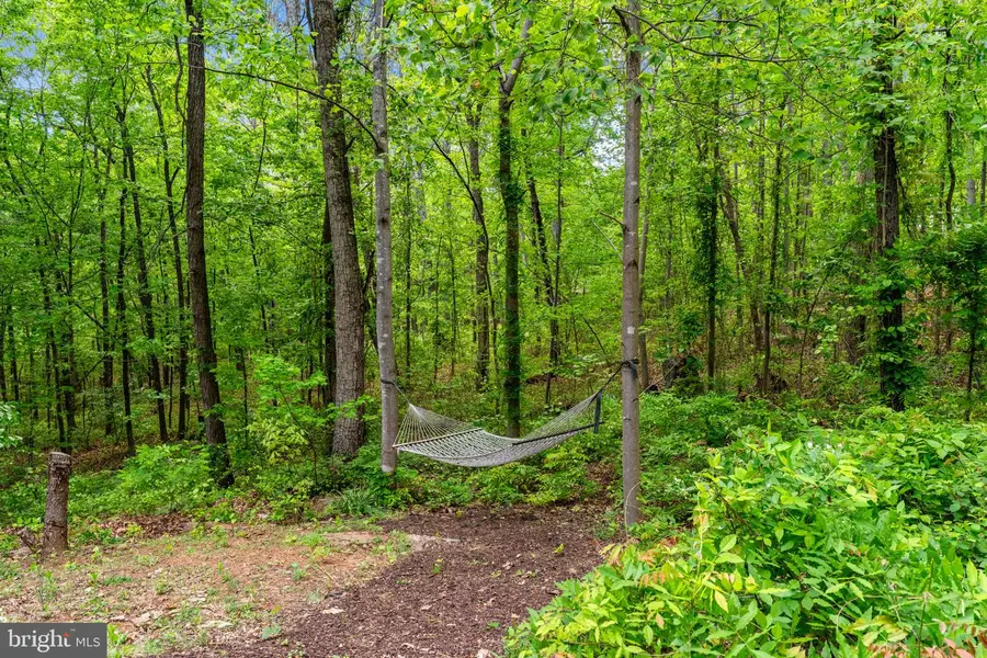 19106 Loggers Rd, Culpeper, VA 22701 - #3