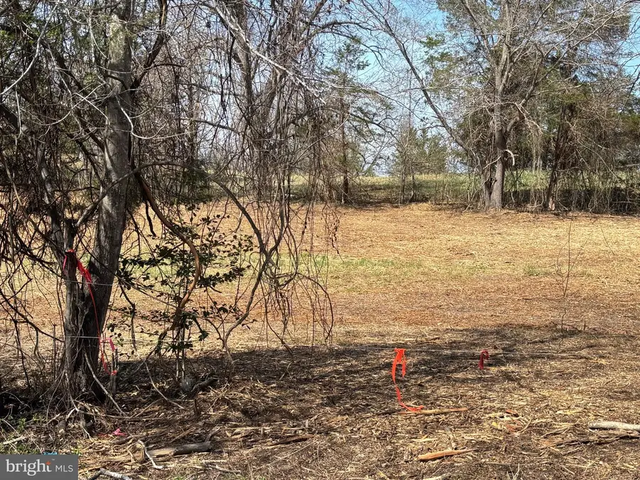 2502 Tract 2 Holly Springs Dr., Amissville, VA 20106 - #3