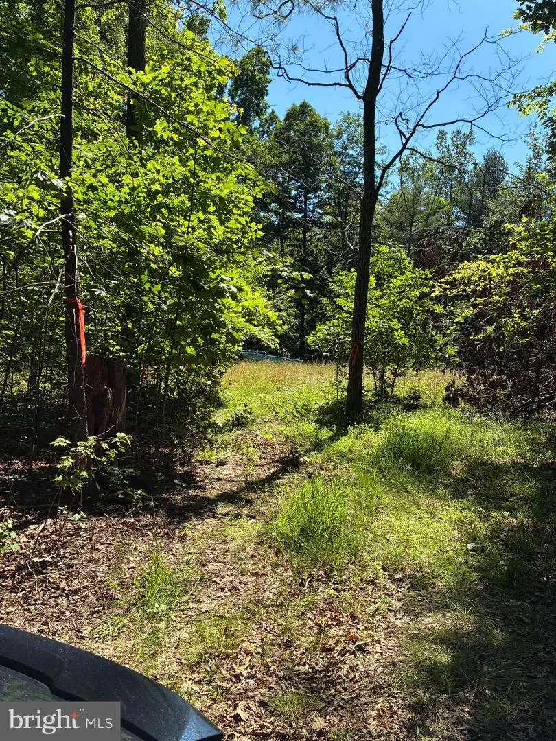 Lot 27 66b Kovi Ridge Trl, Reva, VA 22735 - #1