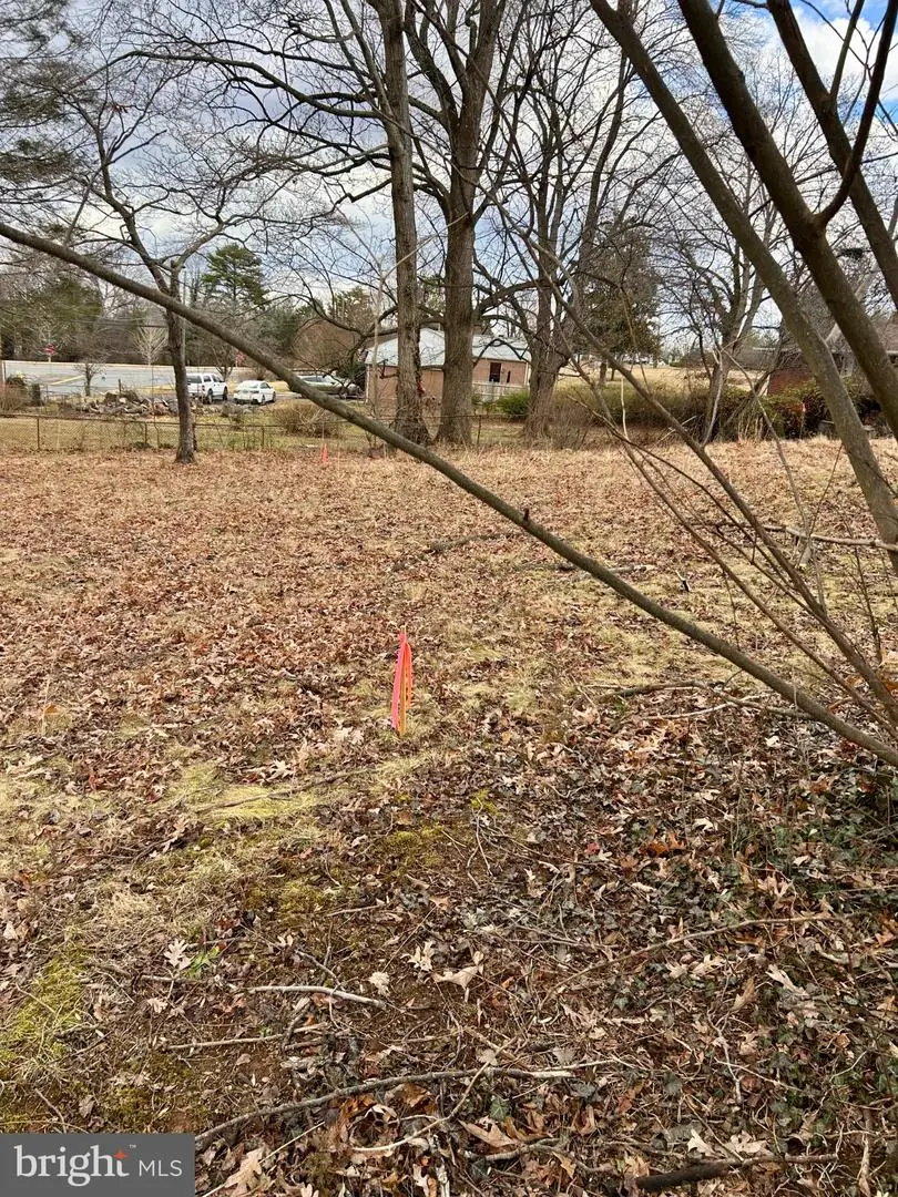 0 Wayland Rd, Culpeper, VA 22701 - #2
