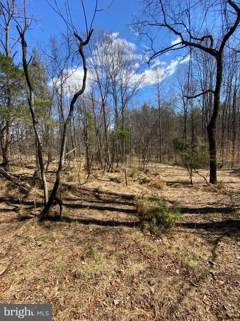 8424 Kilby Rd, Culpeper, VA 22701 - #3