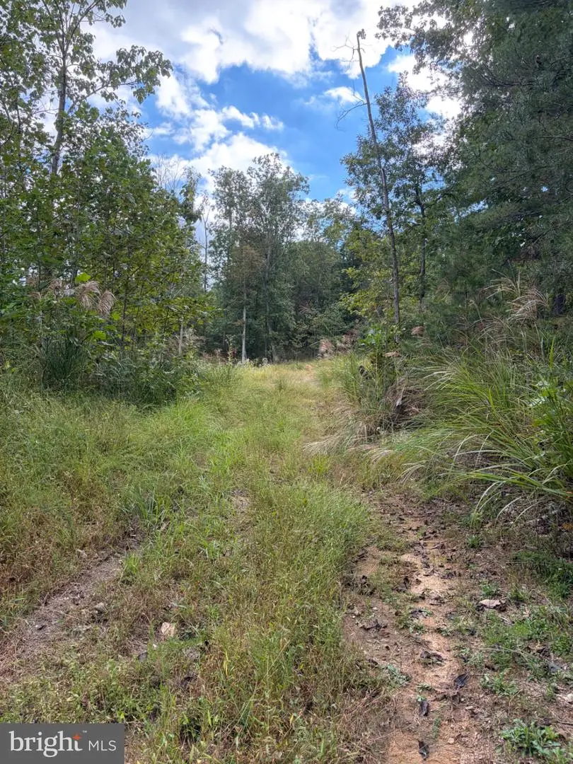 0 Rocks Edge Rd, Reva, VA 22735 - #3