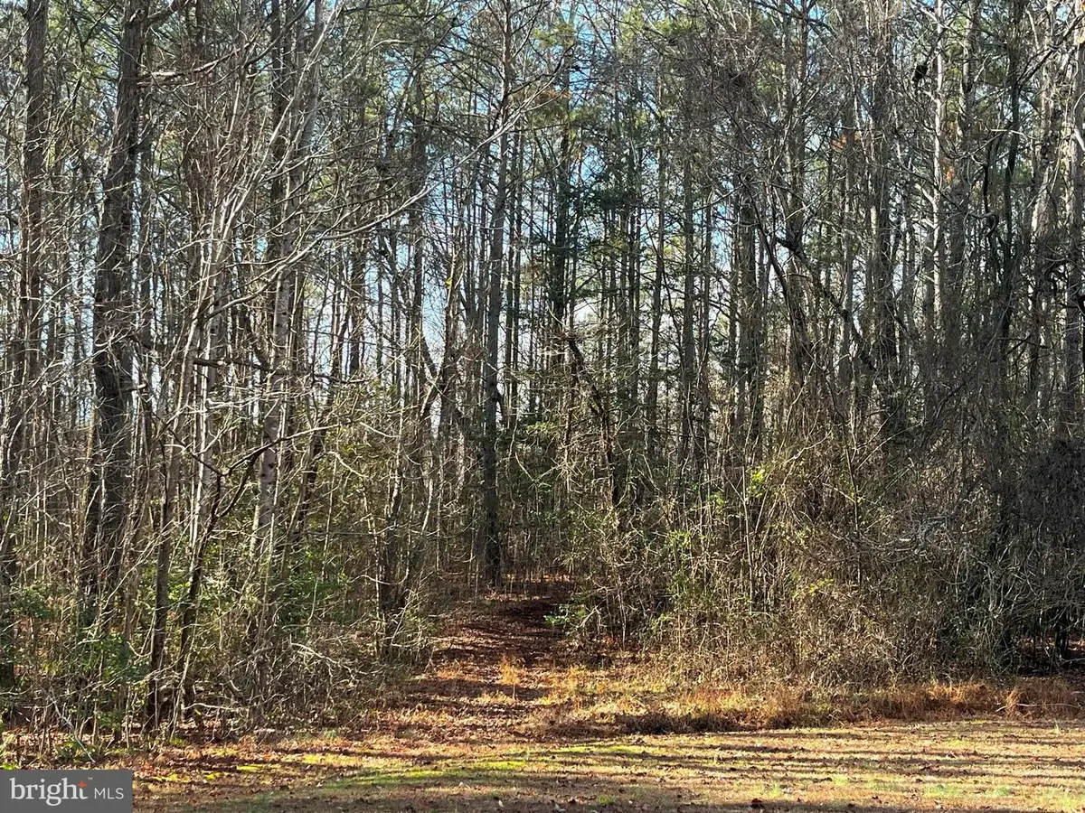 0b Mckenney Dr, Woodford, VA 22580 - Image #1