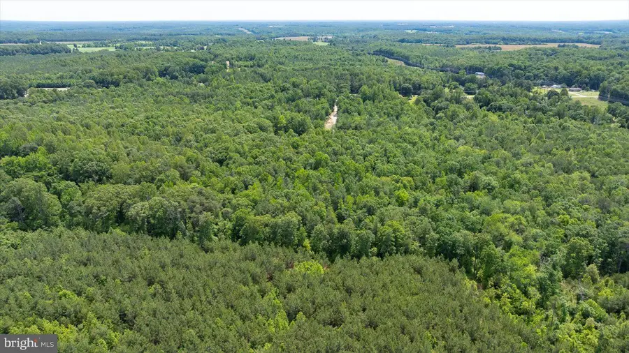 Lot 2 Golansville Rd, Ruther Glen, VA 22546 - #2