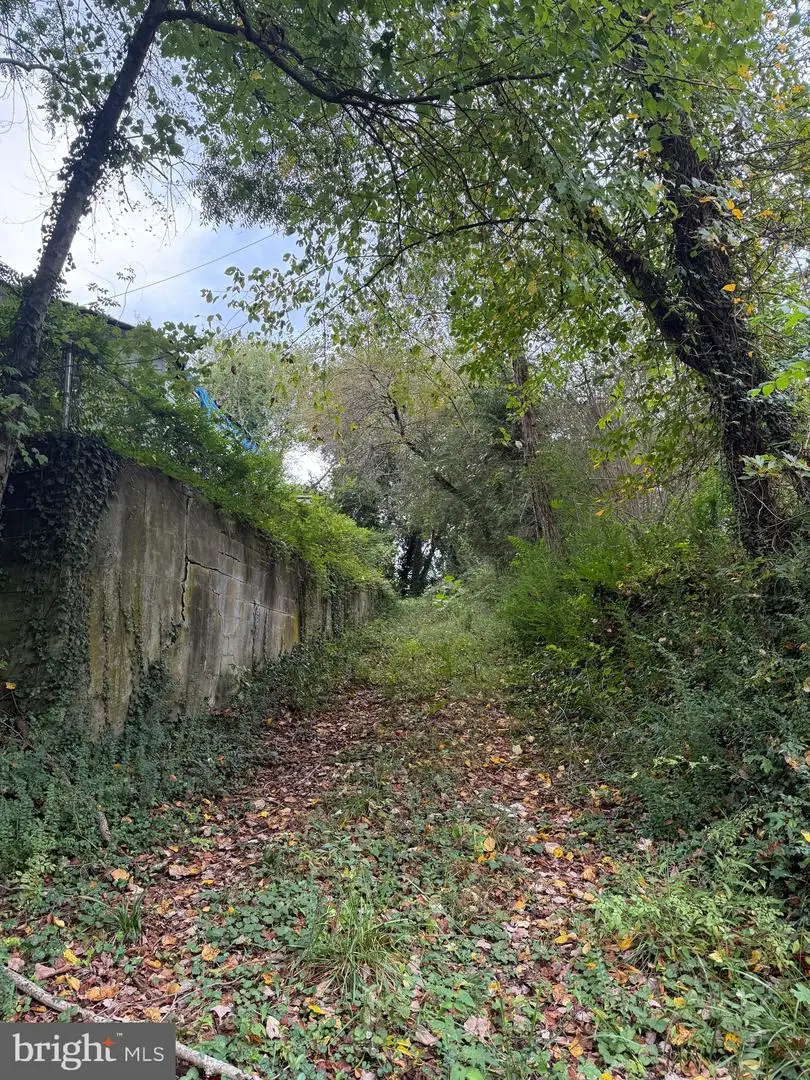 160 Chase St, Bowling Green, VA 22427 - Image #1