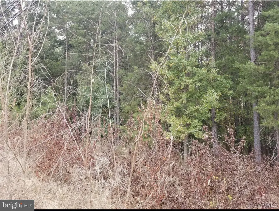 00 Richmond Turnpike, Bowling Green, VA 22427 - Image #2