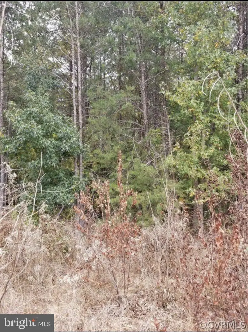 00 Richmond Turnpike, Bowling Green, VA 22427 - Image #3