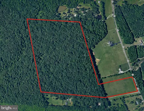 49.26 Acres Jericho Rd, RUTHER GLEN, VA 22546