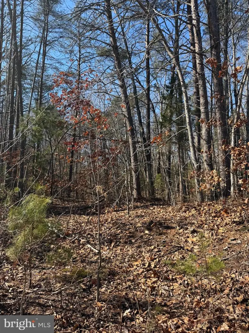 Kennedy Street, Woodford, VA 22580 - #1