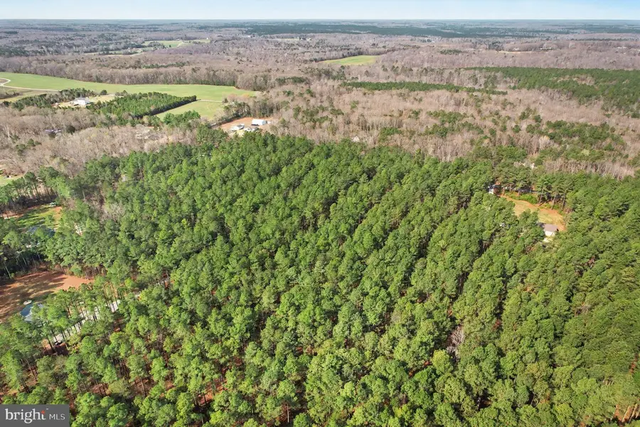 Carters's Gate, Ruther Glen, VA 22546 - #2