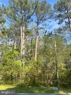 186 Patrick Henry Dr, RUTHER GLEN, VA 22546